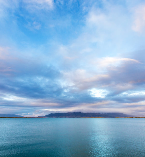 shutterstock_732297787